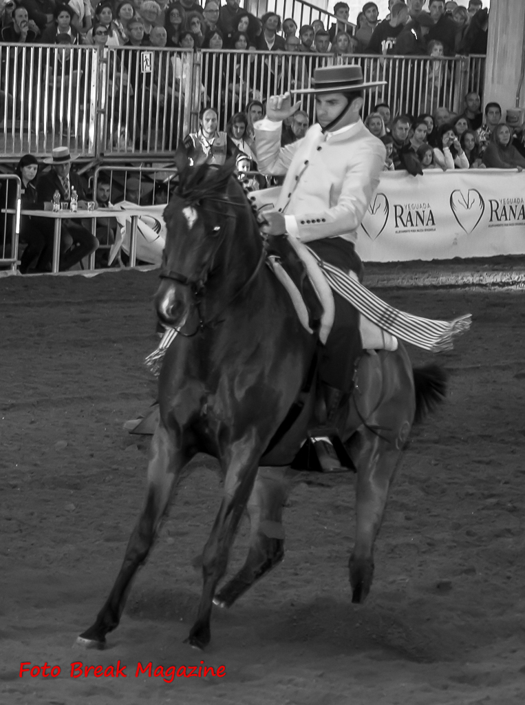 2015-11-07 Album Foto Post Produzione Fieracavalli Verona Equitazione Fotografia e Solidarietà 1° Parte