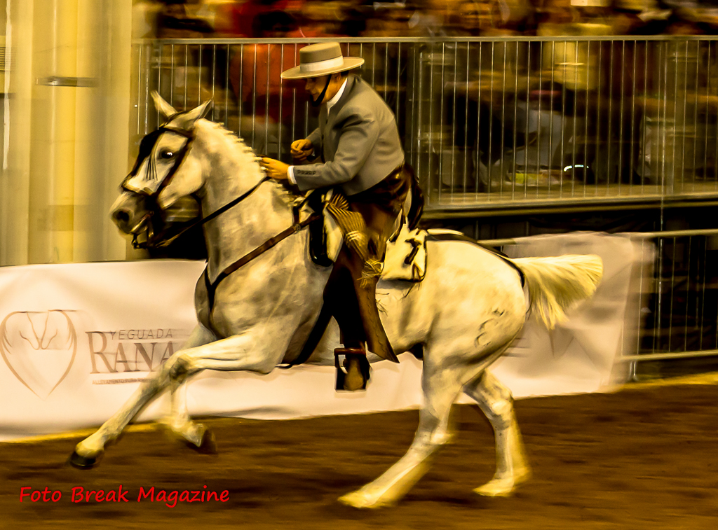 2015-11-07 Album Foto Post Produzione Fieracavalli Verona Equitazione Fotografia e Solidarietà 3° Parte