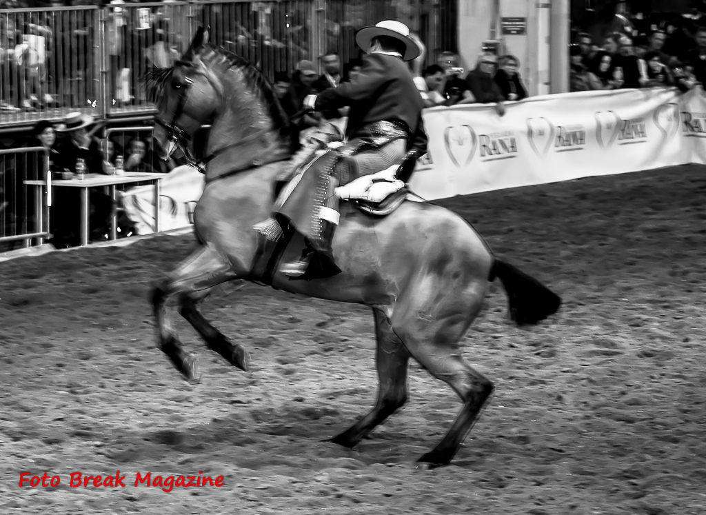 2015-11-07 Album Foto Post Produzione Fieracavalli Verona Equitazione Fotografia e Solidarietà 2° Parte