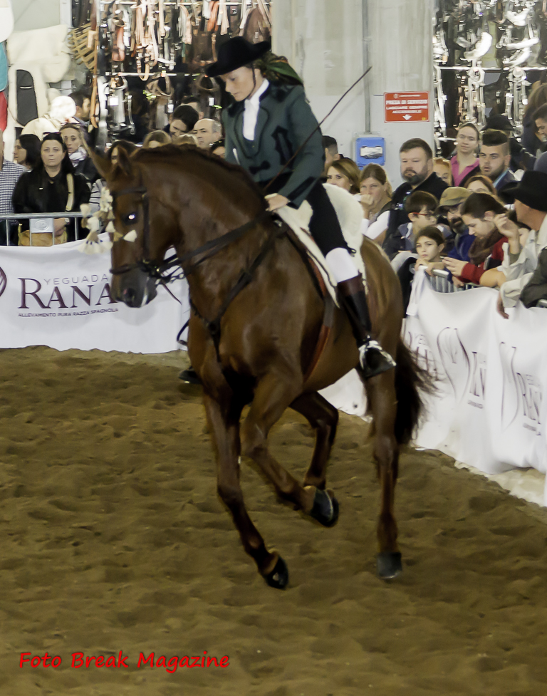 2015-11-08 Album Foto Post Produzione Fieracavalli Verona Equitazione Fotografia e Solidarietà 1° Parte