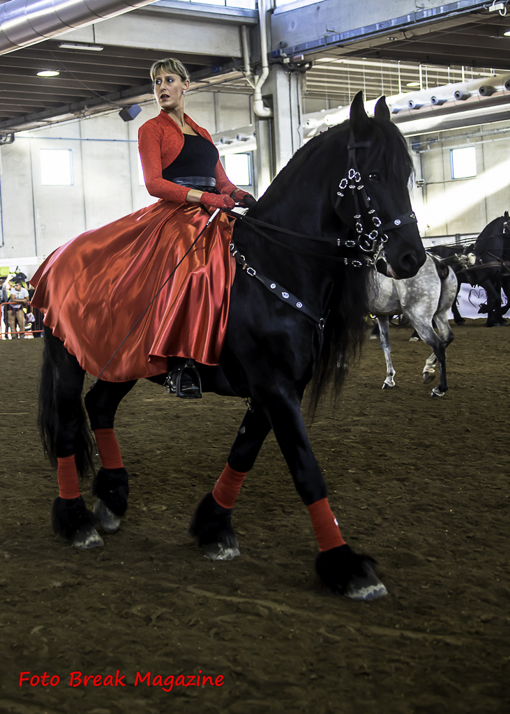 2015-11-08 Album Foto Post Produzione Fieracavalli Verona Equitazione Fotografia e Solidarietà 2° Parte