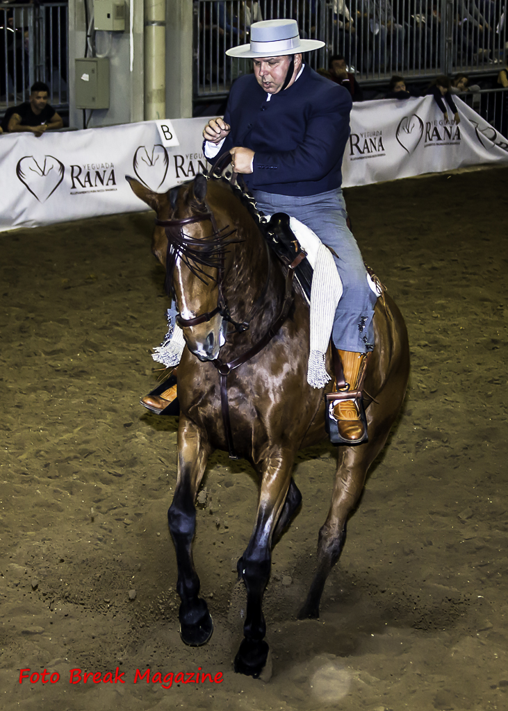 2015-11-08 Album Foto Post Produzione Fieracavalli Verona Equitazione Fotografia e Solidarietà 3° Parte