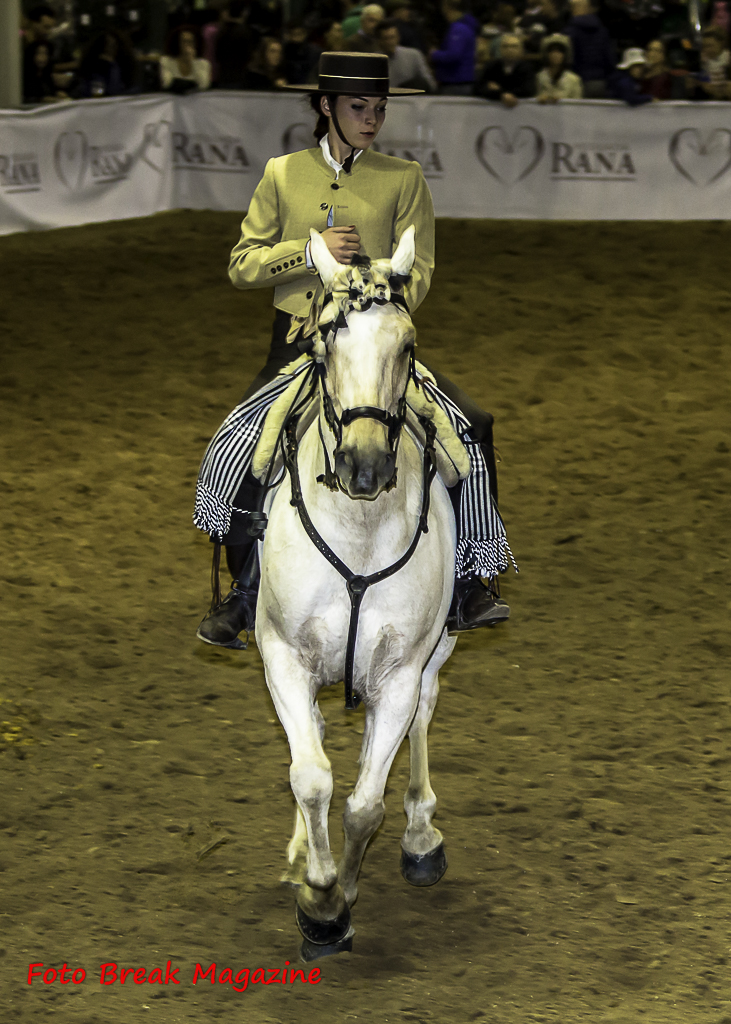 2015-11-08 Album Foto Post Produzione Fieracavalli Verona Equitazione Fotografia e Solidarietà 4° Parte
