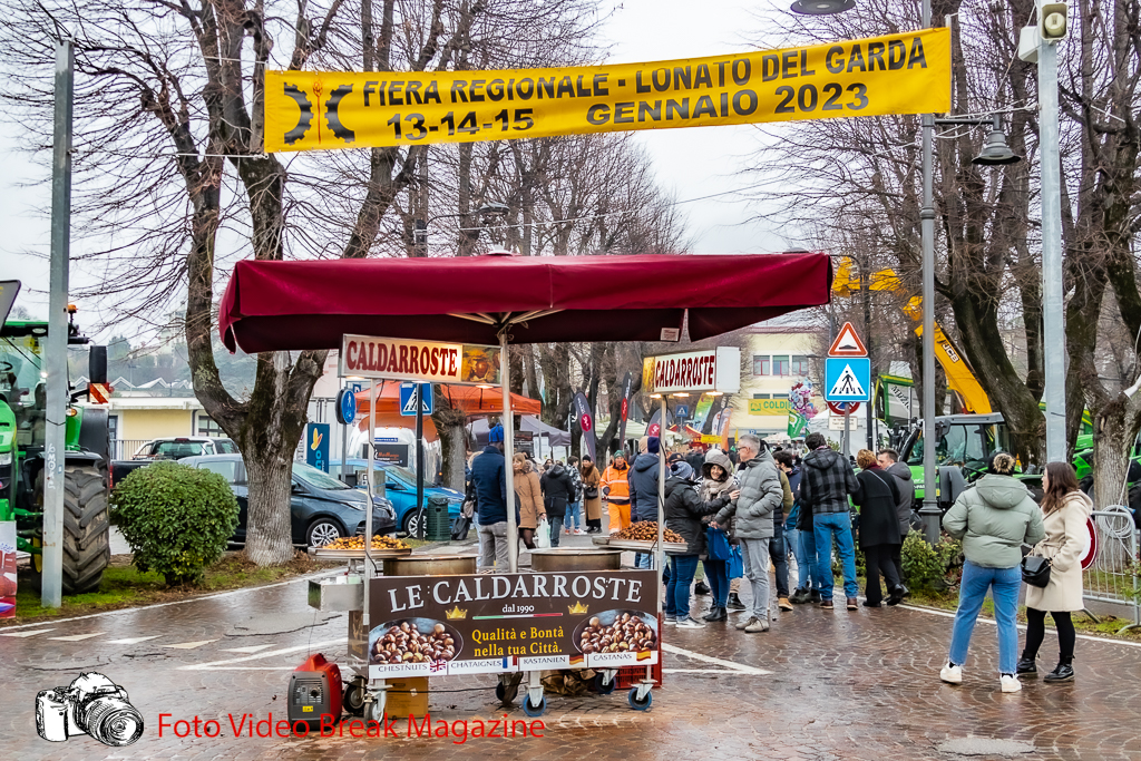2023-01-15 Video Fiera Regionale Di Lonato Del Garda